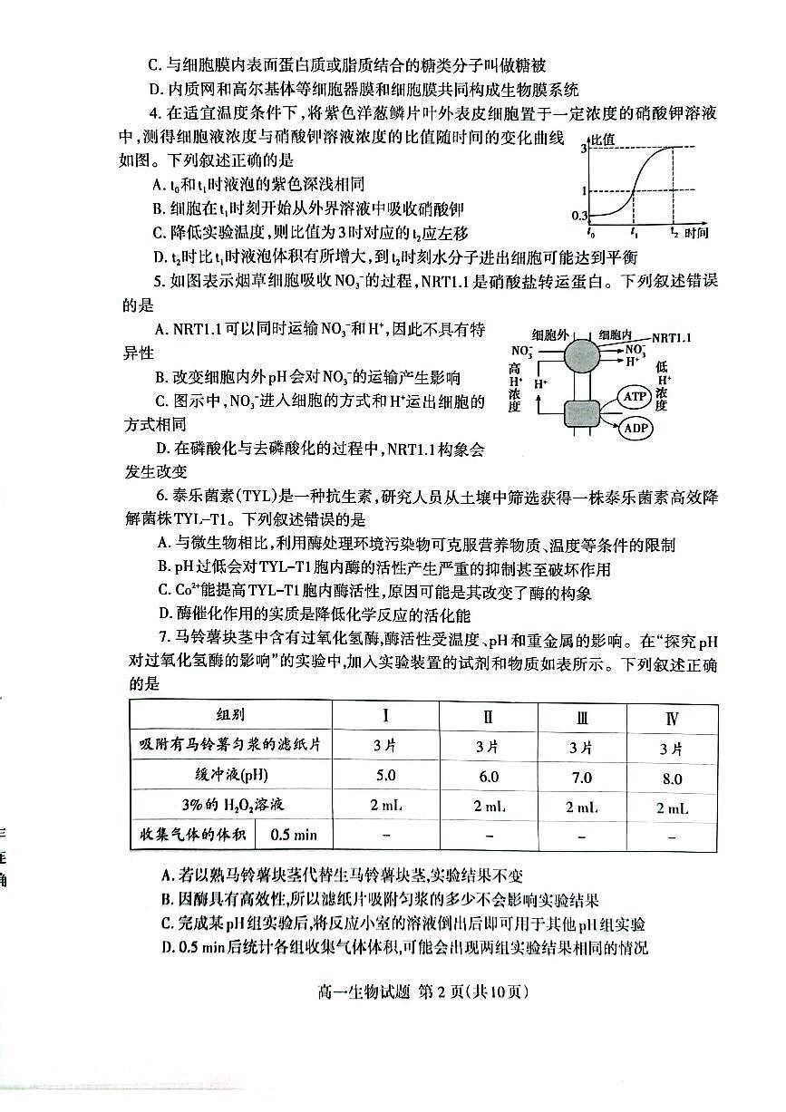 山东省泰安市2023-2024学年高一上学期1月期末生物试题（含答案）第2页