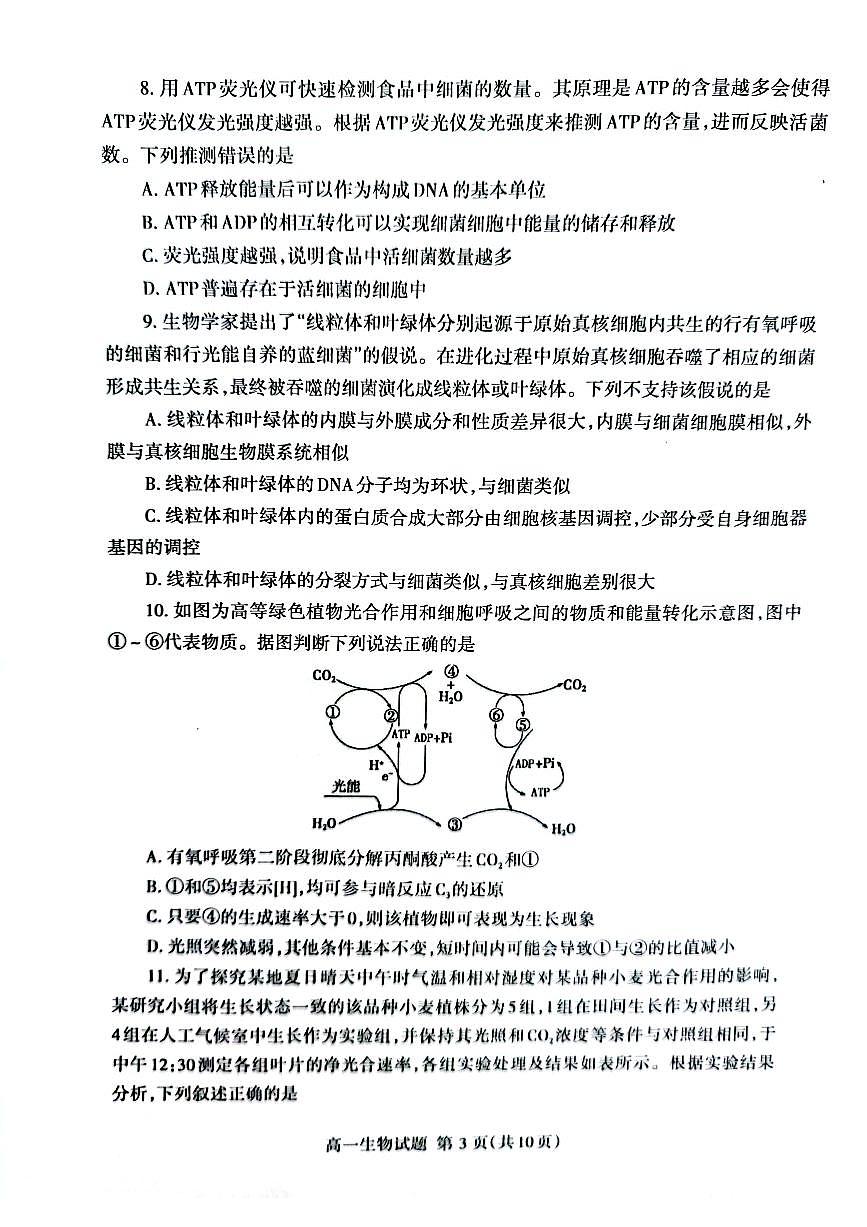 山东省泰安市2023-2024学年高一上学期1月期末生物试题（含答案）第3页