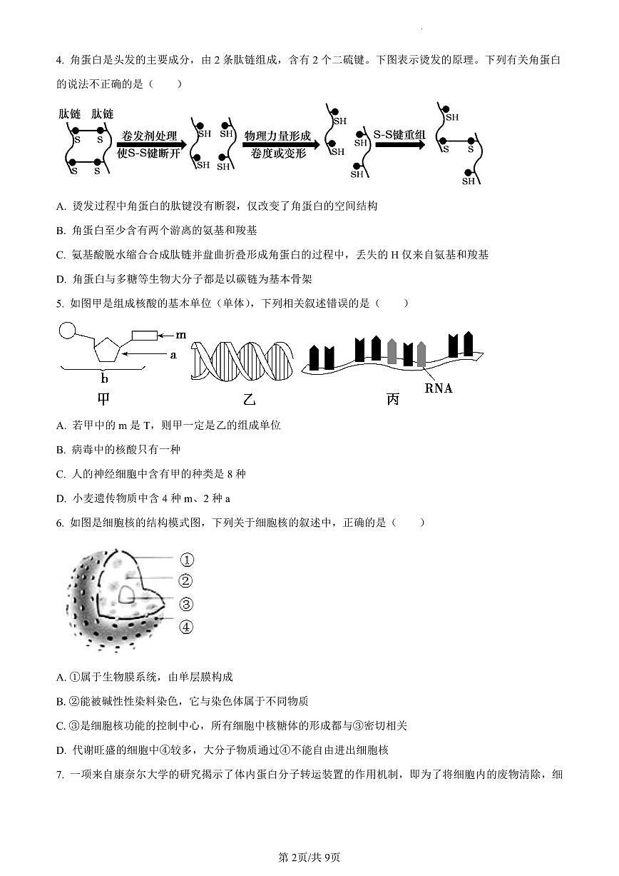 陕西省渭南市2023-2024学年高一上学期期末生物试题（含答案）第2页