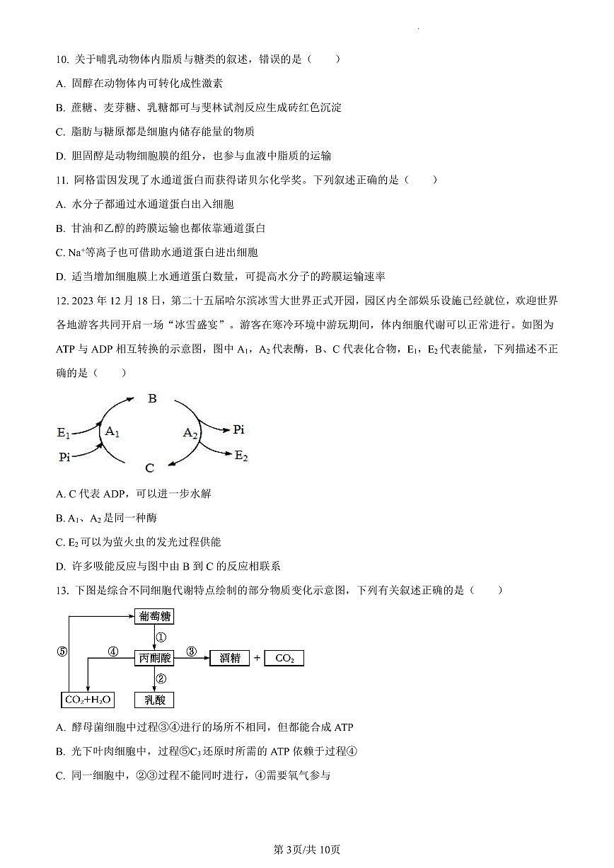四川省泸州市泸县一中2023-2024学年高一1月期末生物试题（含答案）第3页