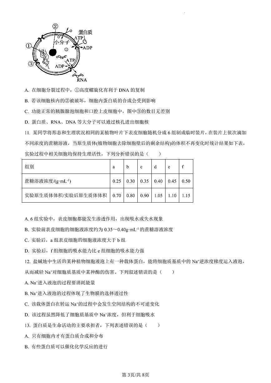 四川省兴文第二中学校2023-2024学年高一上学期1月期末考试生物试题（含答案）第3页