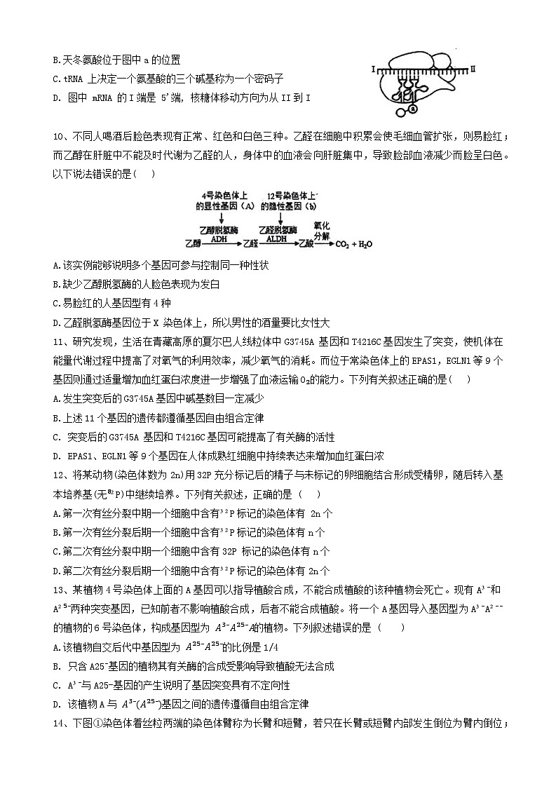 海南省海口市琼山区海南中学2023-2024学年高一下学期7月期末生物试题第3页