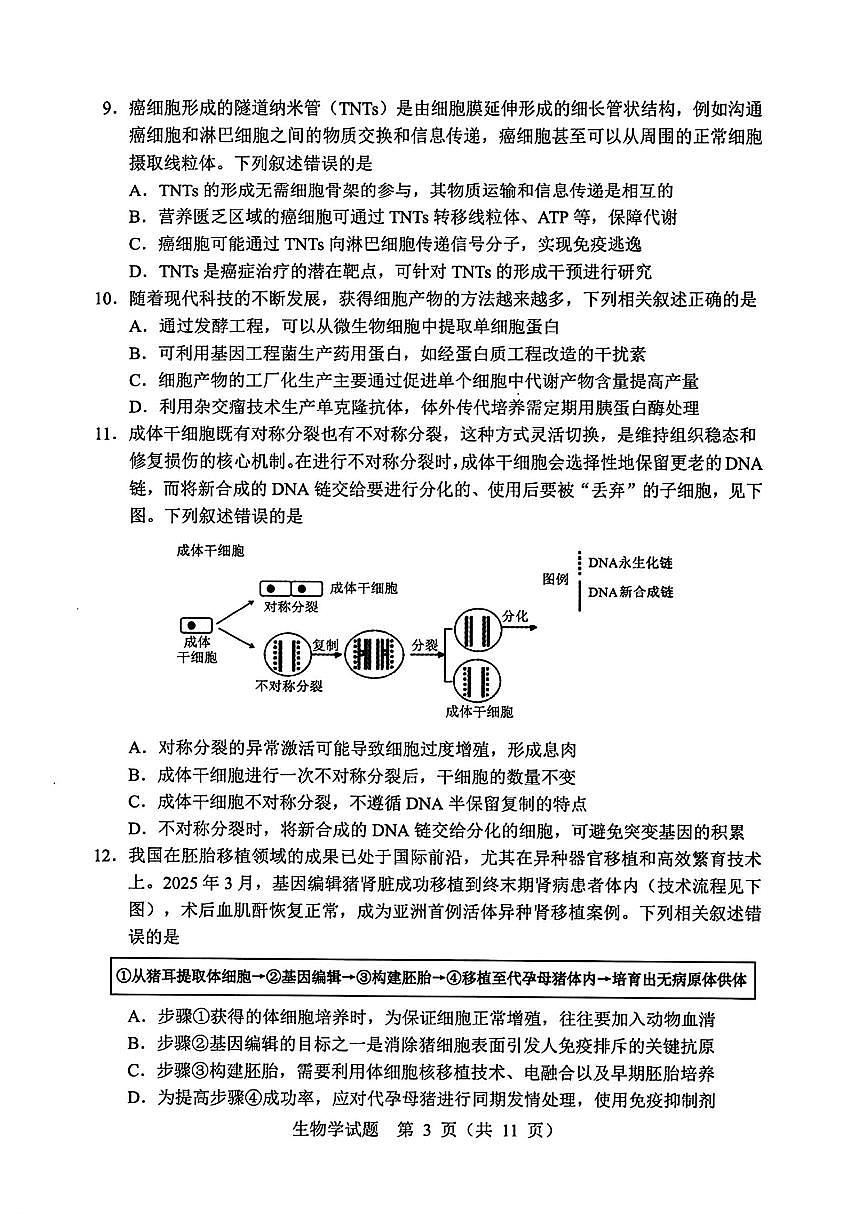 辽宁省部分协作体2025届高三下学期4月联考-生物试题+答案第3页