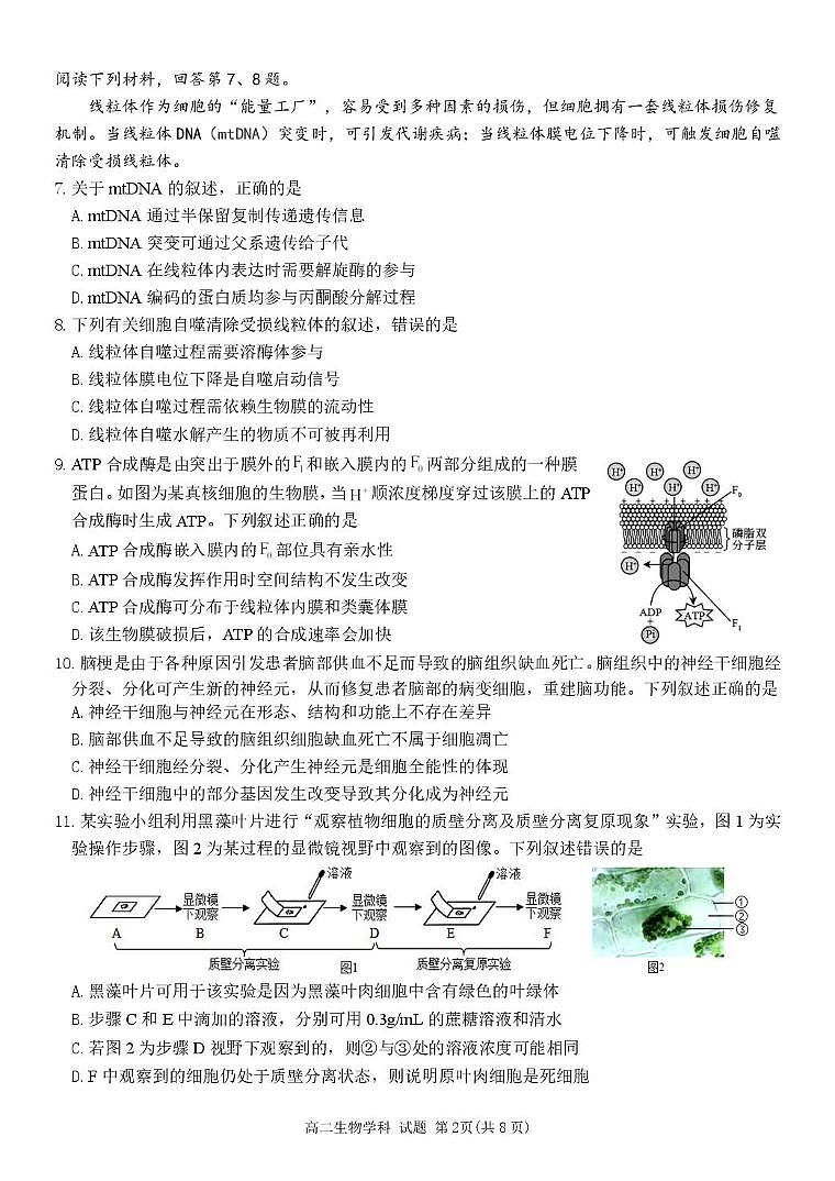浙江省丽水市发展共同体2024-2025学年高二下学期4月期中联考试题 生物 PDF版含答案第2页