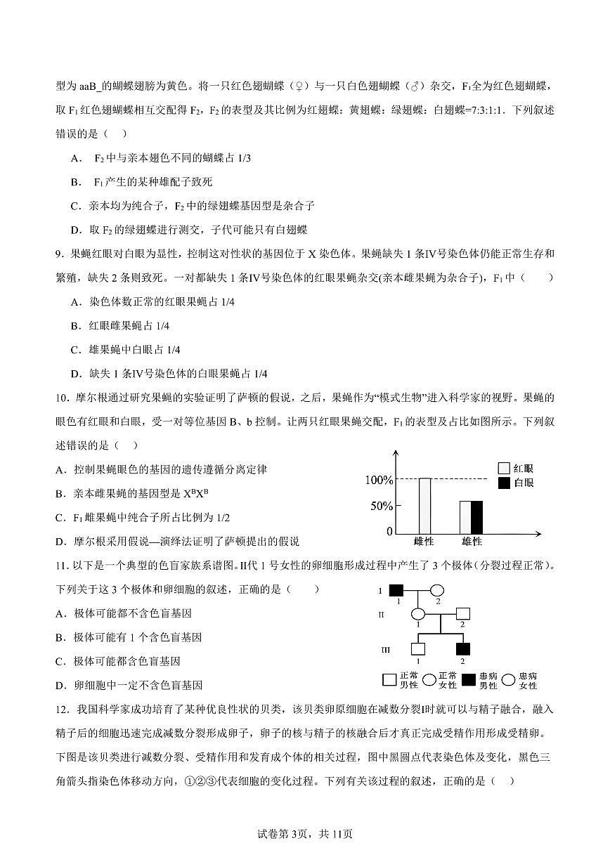 新泰一中北校高一下学期期中考试第3页