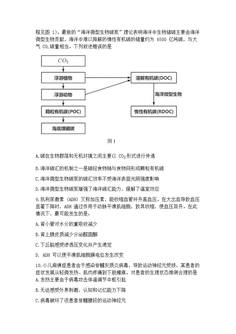 2025届广东省大湾区珠海、江门、中山、阳江、肇庆等高三二模 生物试题+答案第3页