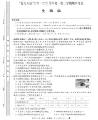 安徽省皖南八校2024-2025学年高一下学期4月期中生物试题（含答案）