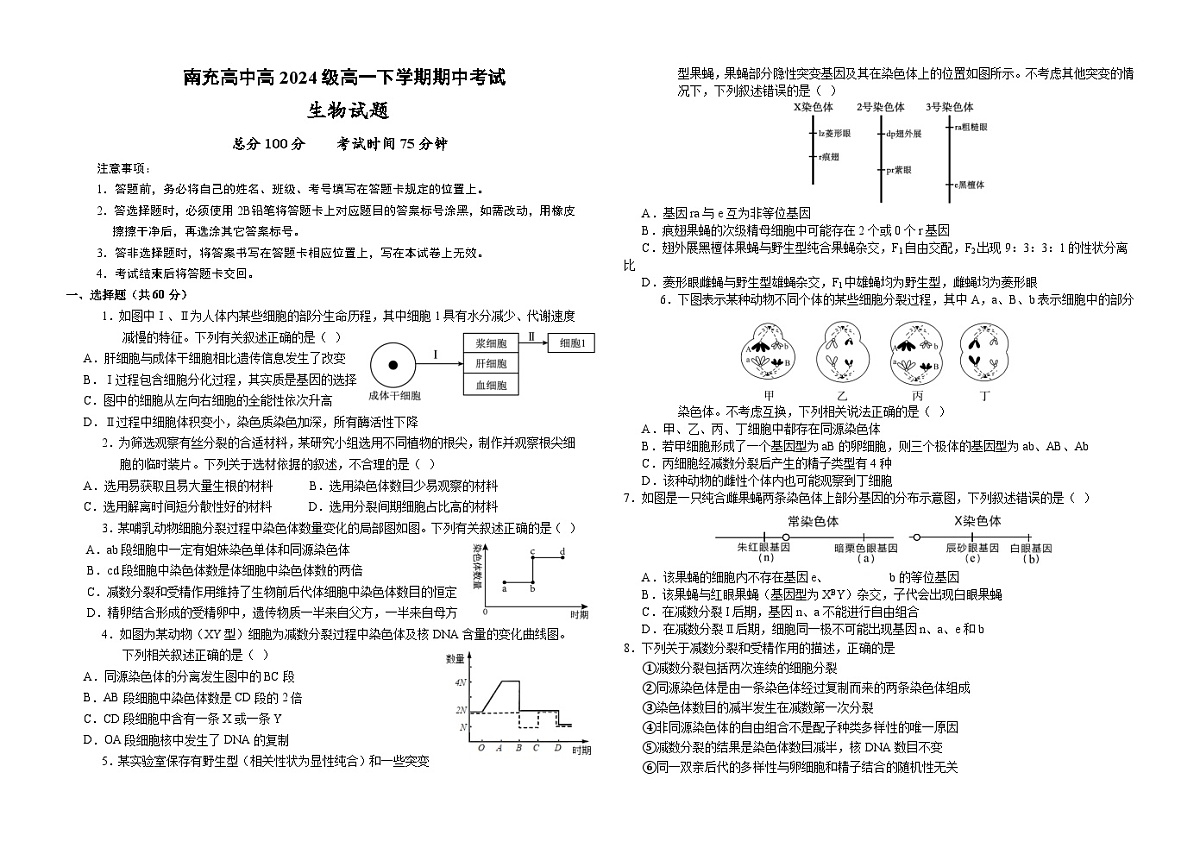 南充高中高2024级高一下学期期中考试生物试题第1页