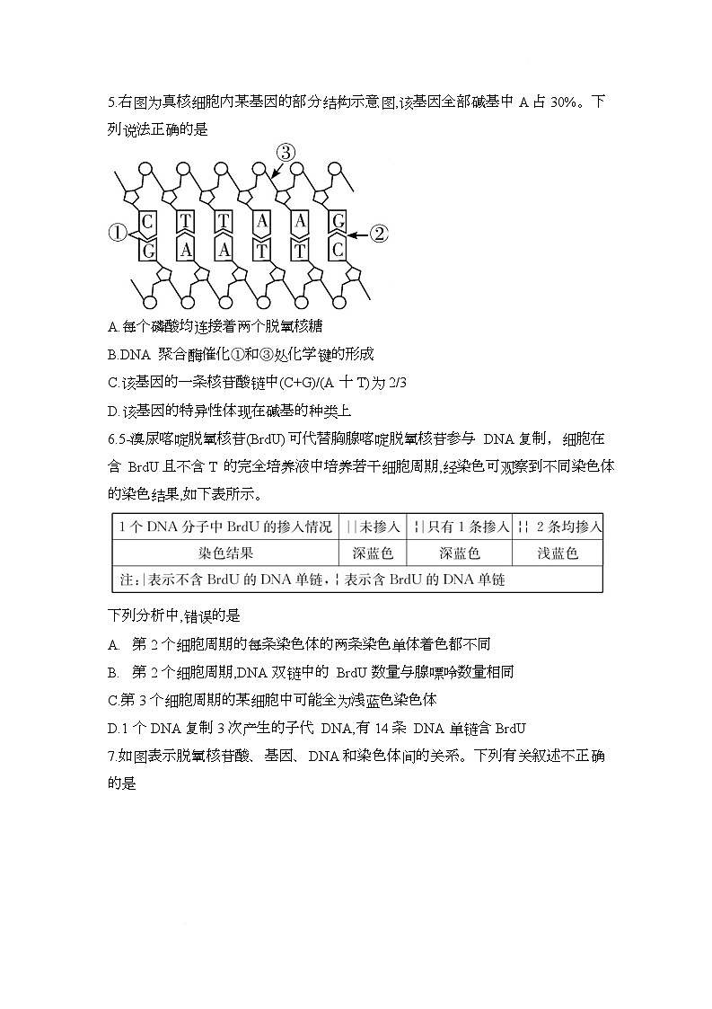 湖南省长沙市第一中学2024-2025学年高一下学期期中考试生物试题第2页