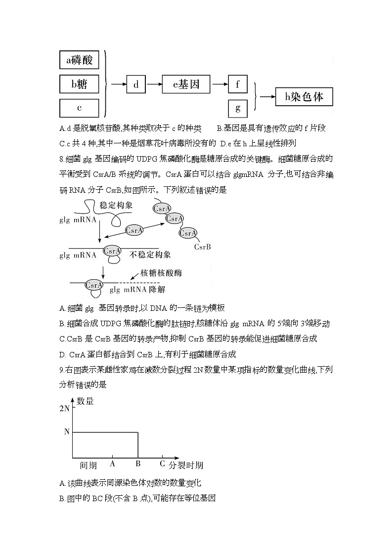 湖南省长沙市第一中学2024-2025学年高一下学期期中考试生物试题第3页