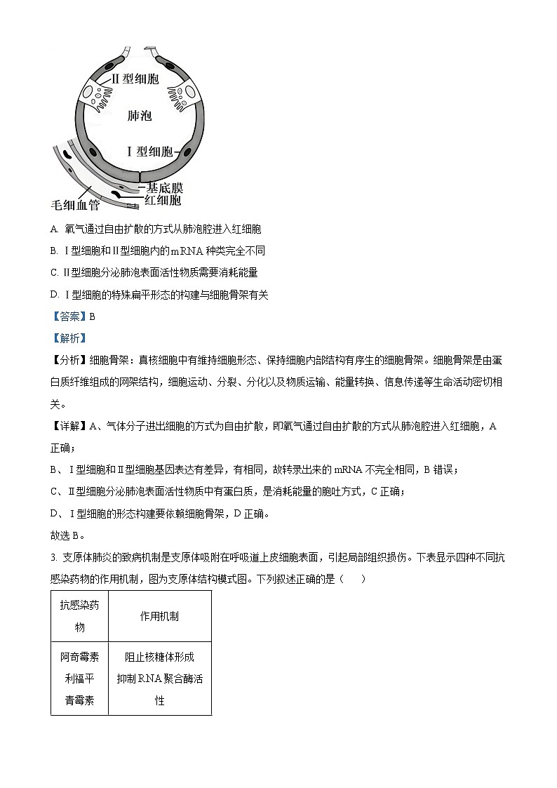 重庆市2024届高三下学期第二次联考诊断检测生物试题 含解析第2页