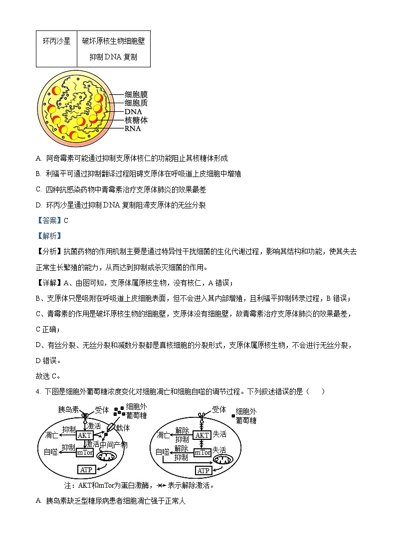重庆市2024届高三下学期第二次联考诊断检测生物试题 含解析第3页