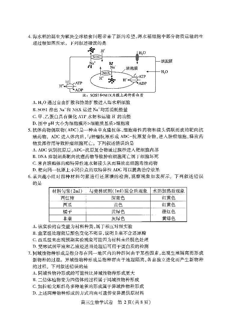 2025届湖北省武汉市高三二模高中毕业生四月调研考试 生物试题及答案第2页