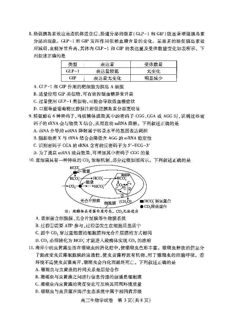 2025届湖北省武汉市高三二模高中毕业生四月调研考试 生物试题及答案第3页