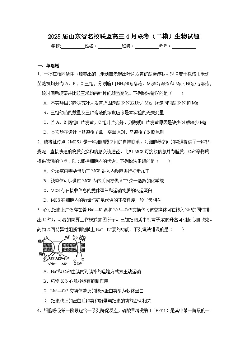 2025届山东省名校联盟高三4月联考（二模）生物试题（附答案解析）第1页