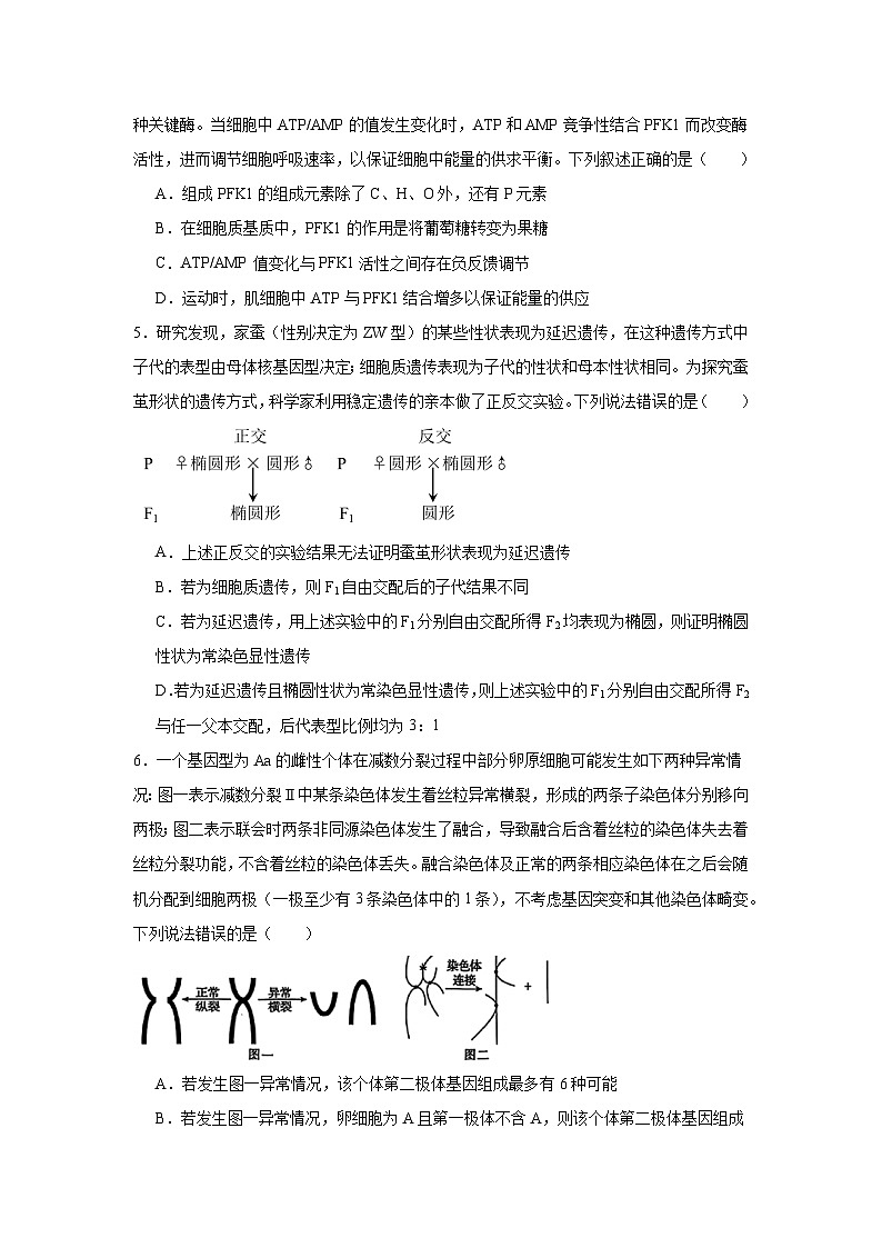 2025届山东省名校联盟高三4月联考（二模）生物试题（附答案解析）第2页