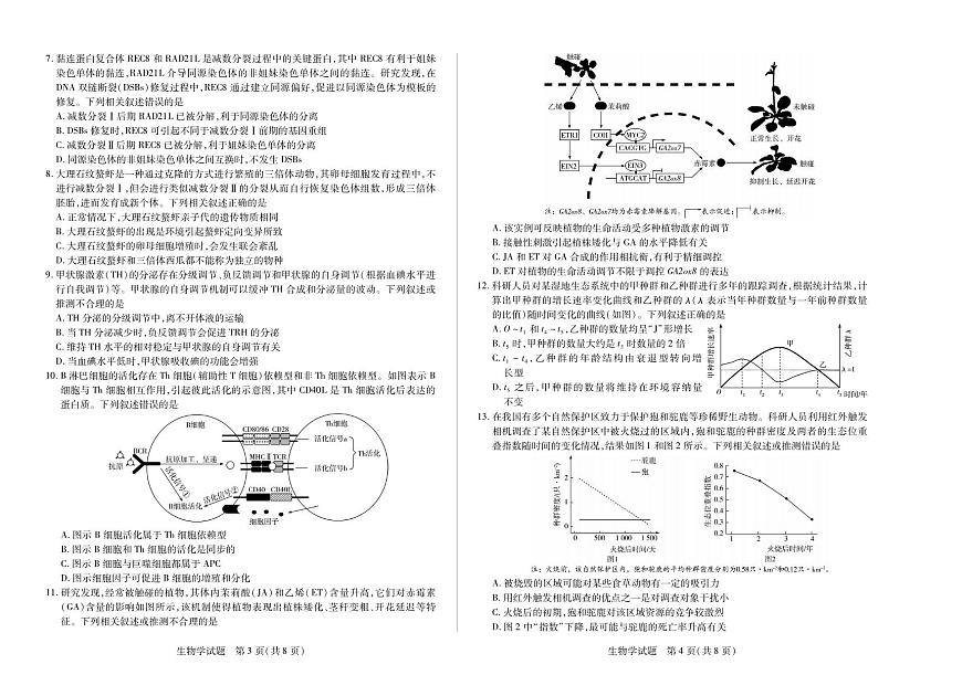 生物丨天一大联考&皖豫名校联盟2025届高三下学期4月检测生物试卷及答案第2页