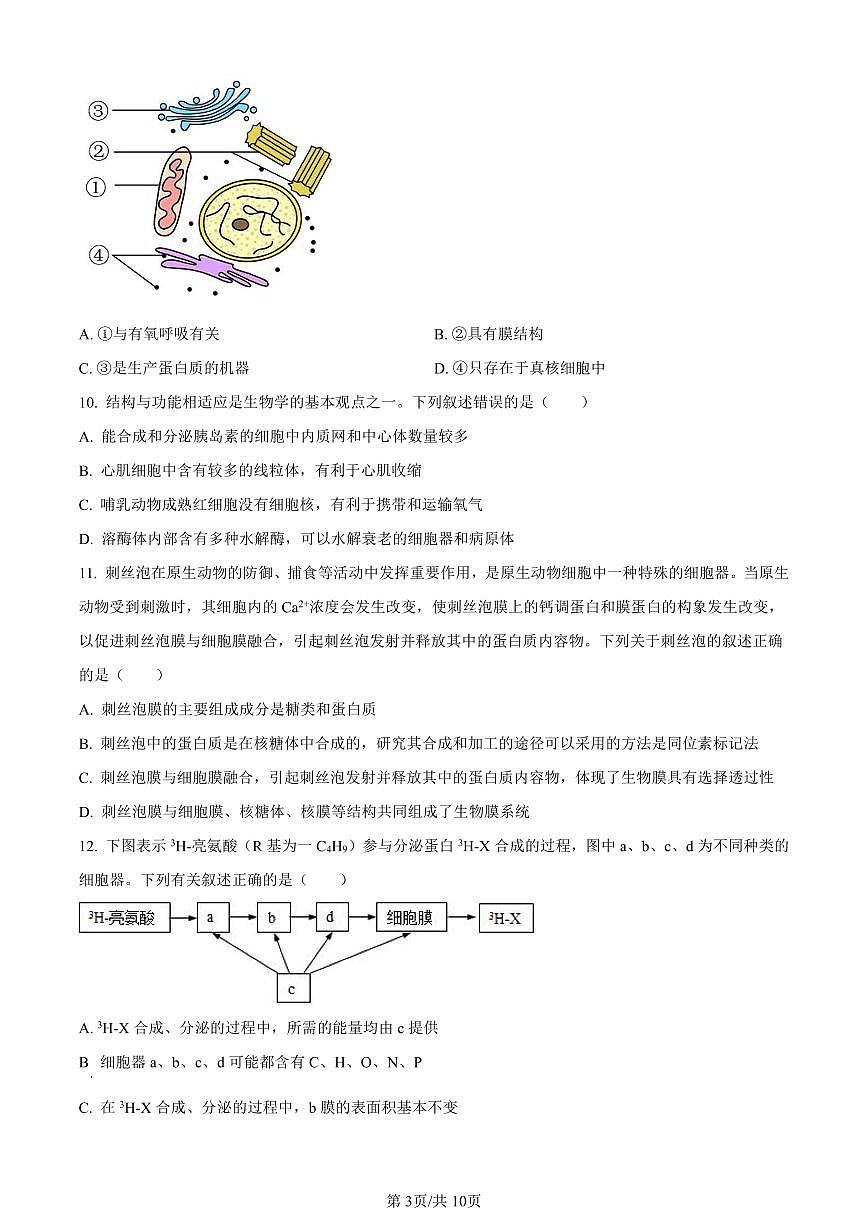 天津市河北区2023-2024学年高一1月期末生物试题（含答案）第3页