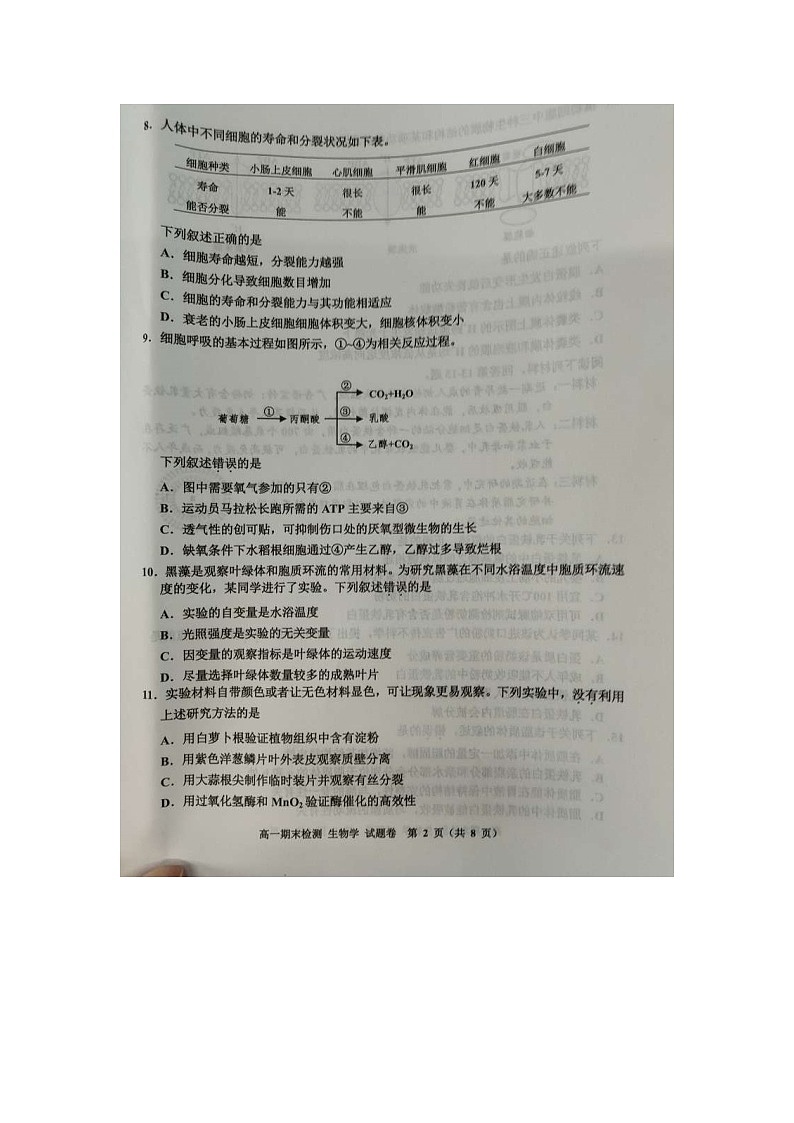 浙江省嘉兴市2023-2024学年高一上学期1月期末考试生物试题（含答案）第2页