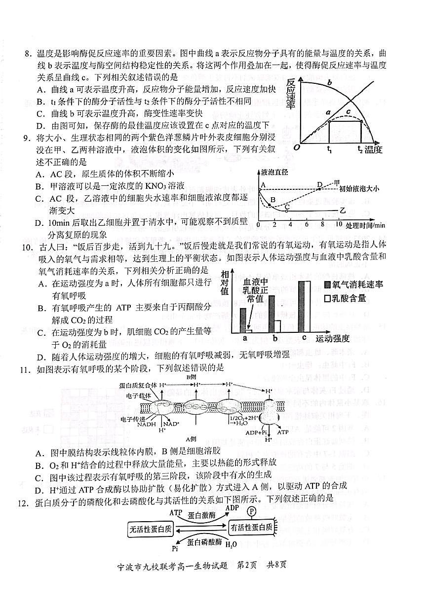 浙江省宁波市九校2023-2024学年高一上学期1月期末联考生物试卷（含答案）第2页