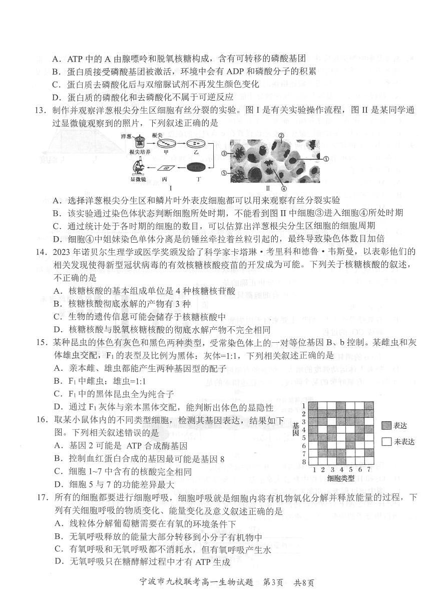 浙江省宁波市九校2023-2024学年高一上学期1月期末联考生物试卷（含答案）第3页