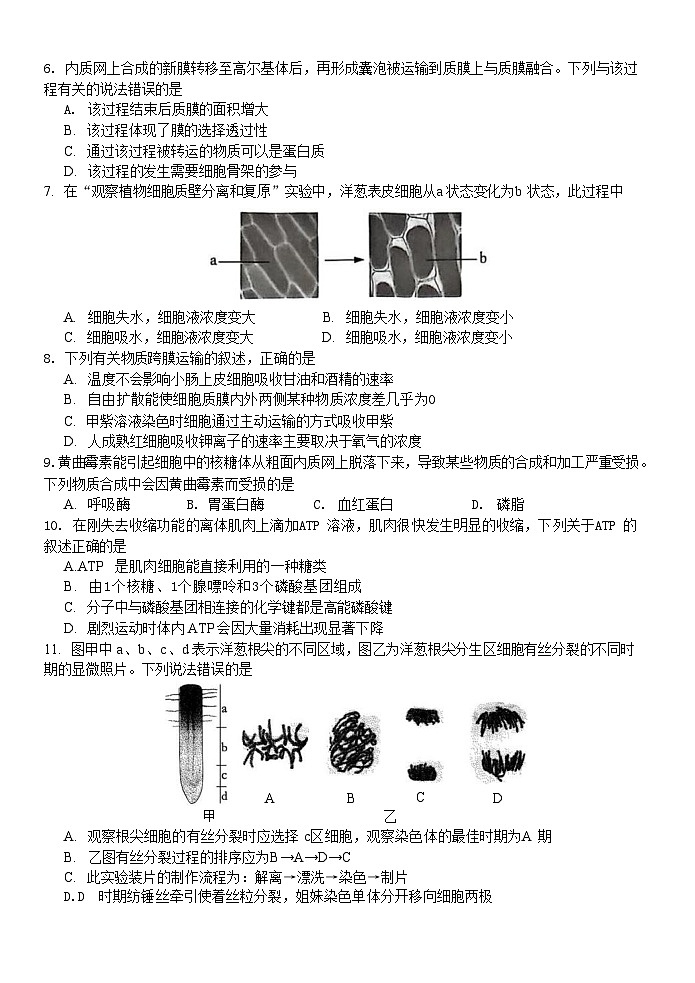 浙江省宁波市三锋教研联盟2024-2025学年高一下学期4月期中考试 生物 含答案第2页