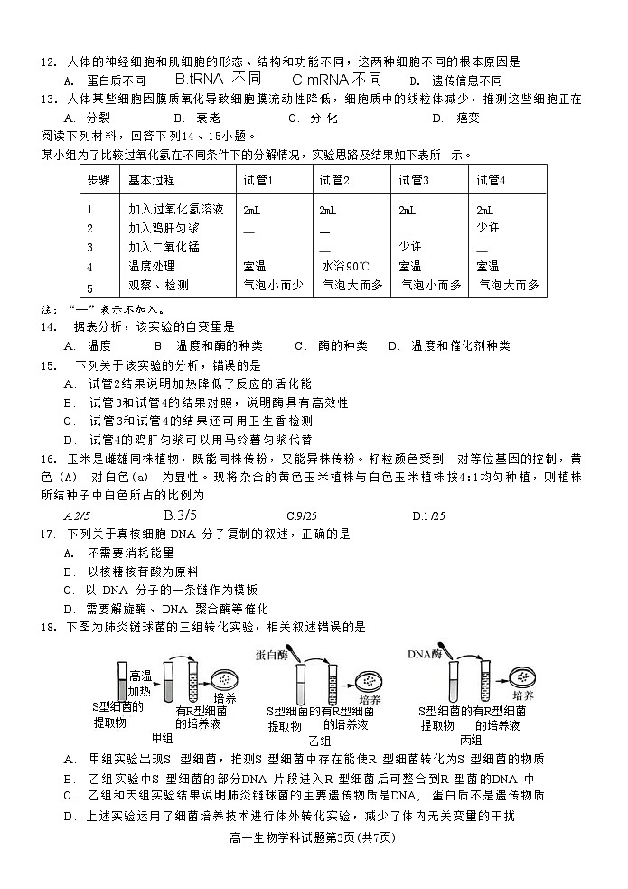 浙江省宁波市三锋教研联盟2024-2025学年高一下学期4月期中考试 生物 含答案第3页