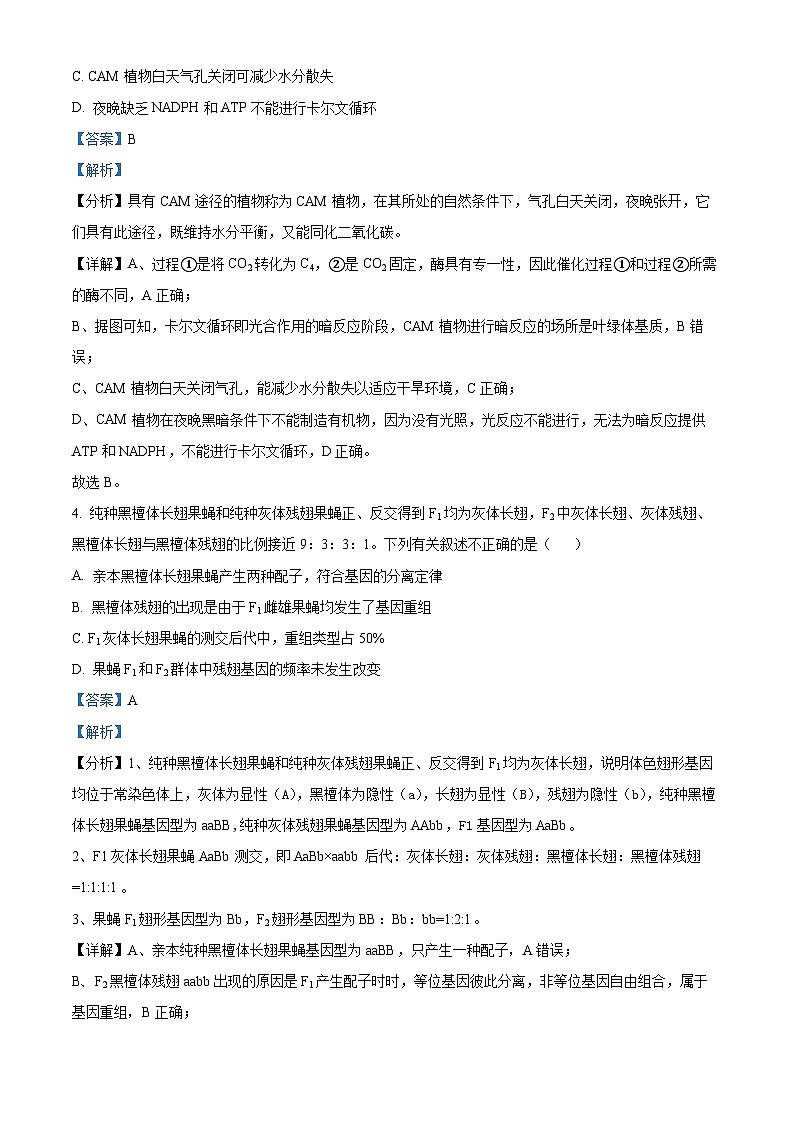 北京市丰台区2024届高三下学期一模试题 生物 含解析第3页