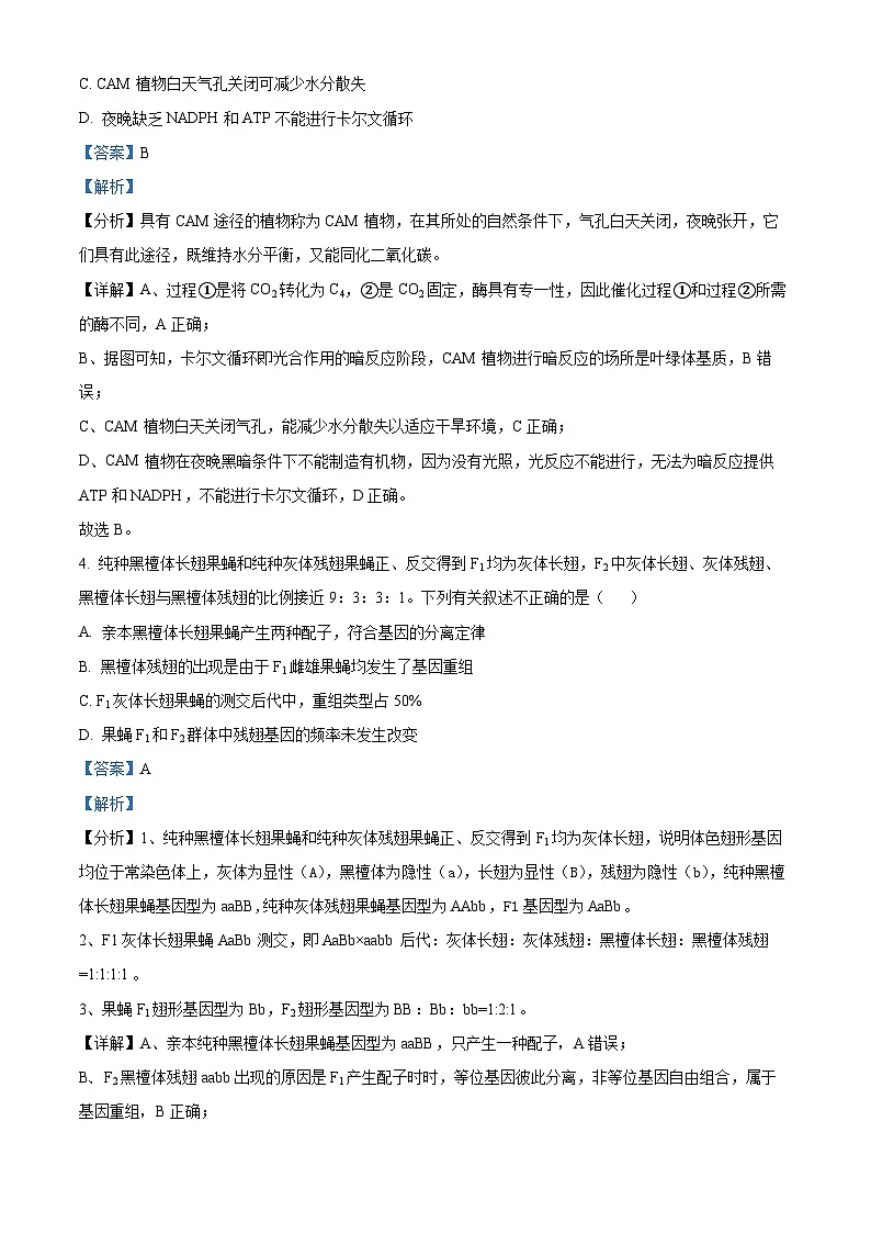 2024届北京市丰台区高三一模生物试题 Word版含解析第3页