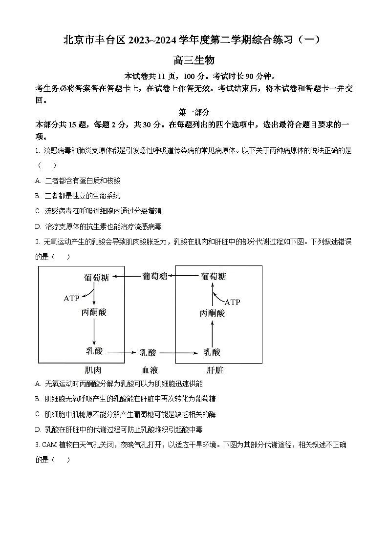2024届北京市丰台区高三一模生物试题 Word版无答案第1页