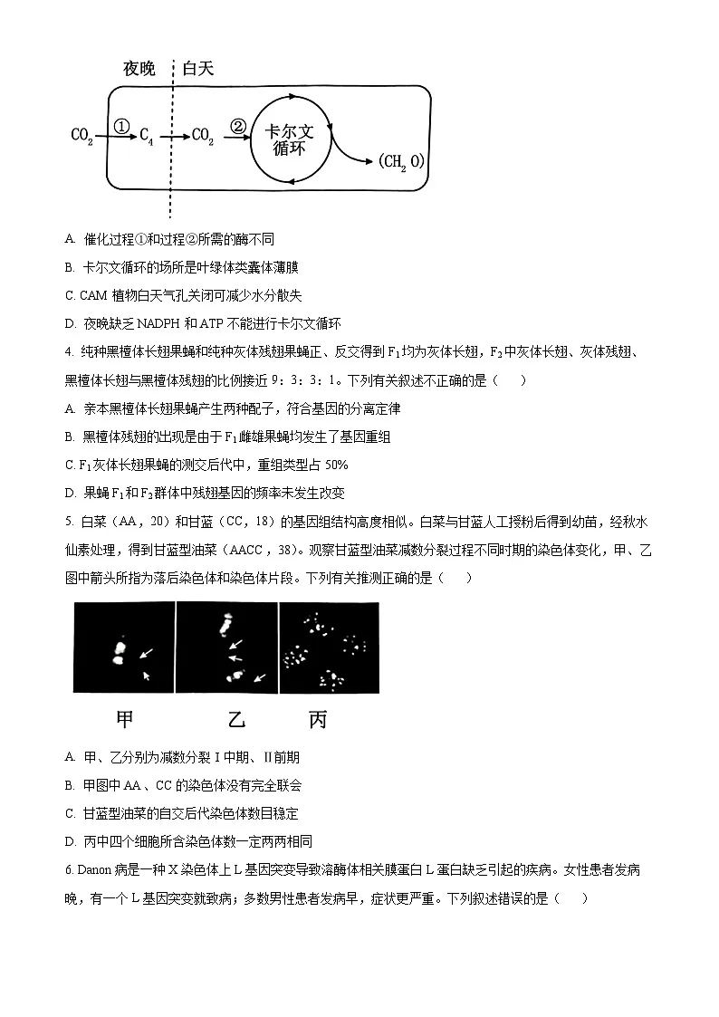 2024届北京市丰台区高三一模生物试题 Word版无答案第2页