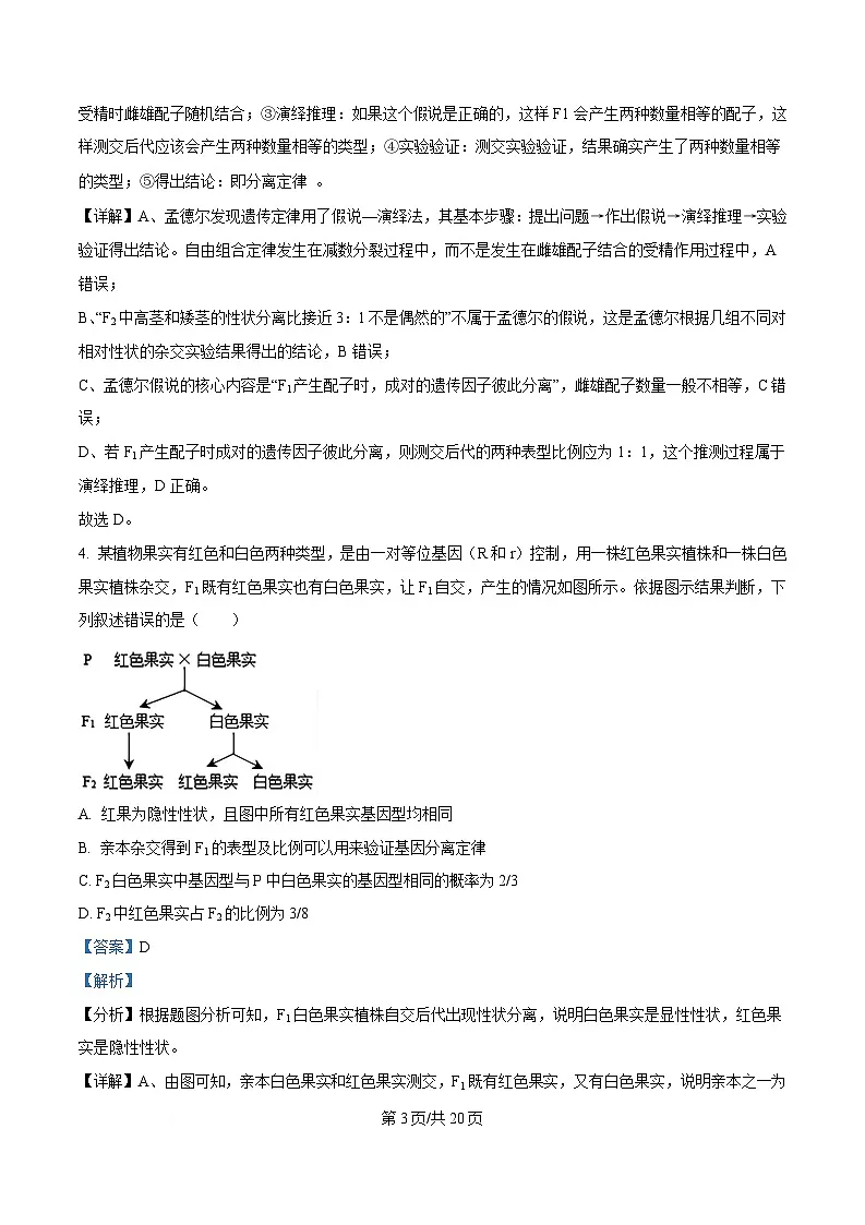 湖北省孝感市2024-2025学年高一下学期期中考试生物试题 Word版含解析第3页