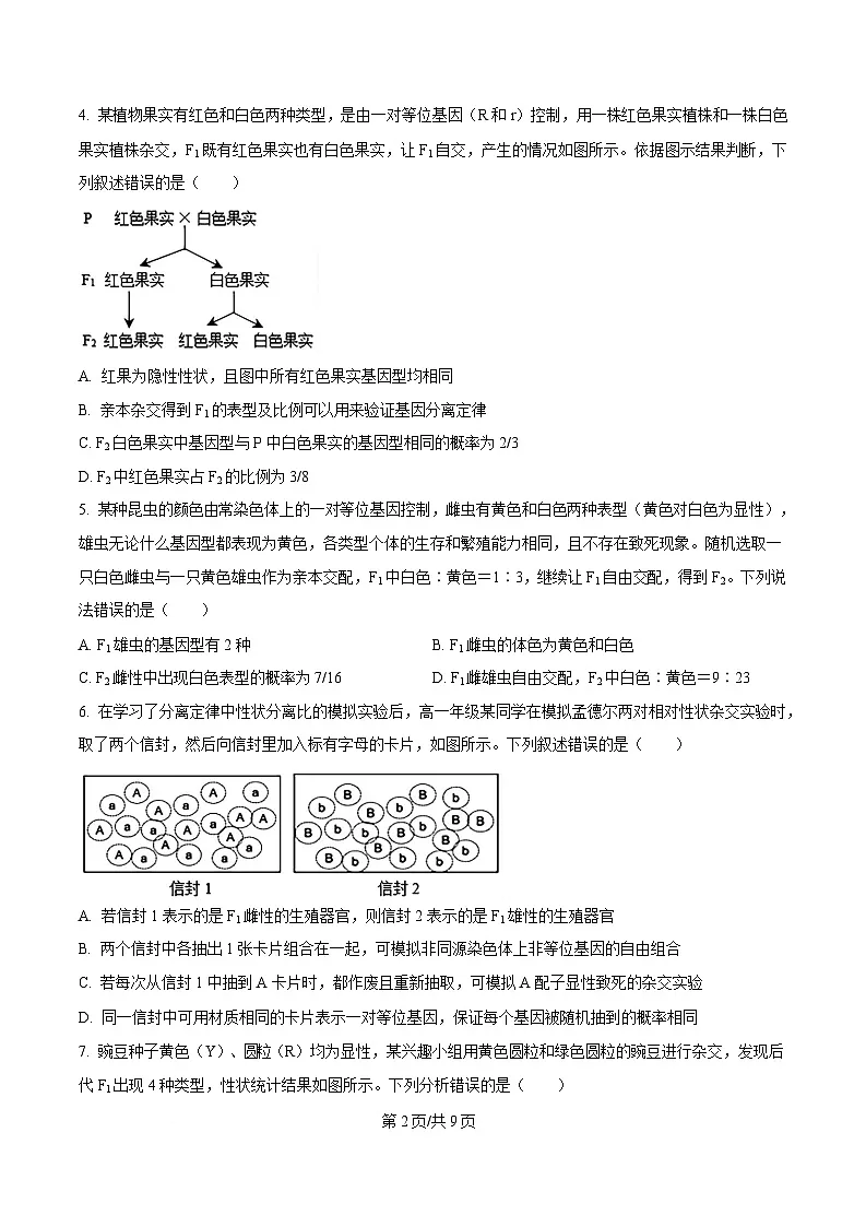 湖北省孝感市2024-2025学年高一下学期期中考试生物试题（原卷版）第2页