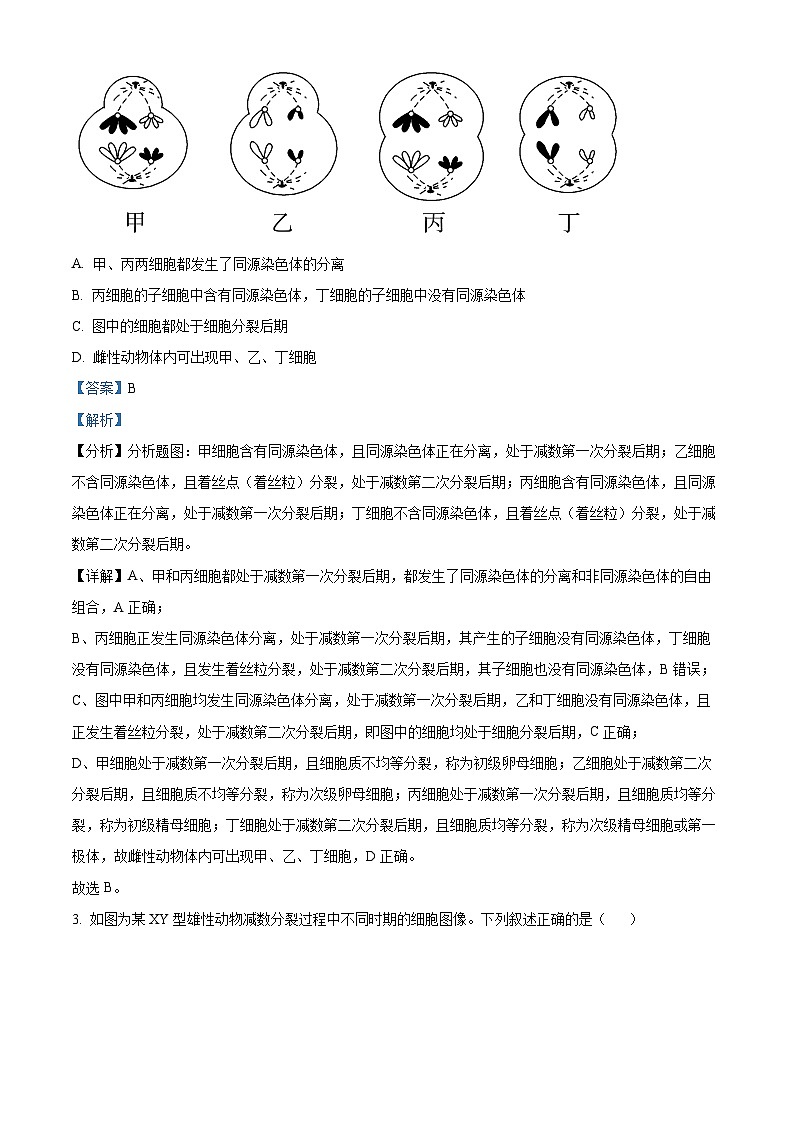 江苏省南京市六校2024-2025学年高一下学期3月月考生物试卷  Word版含解析第2页