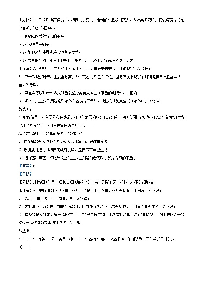 江苏省宿迁市2024-2025学年高一上学期11月期中生物试题  Word版含解析第3页