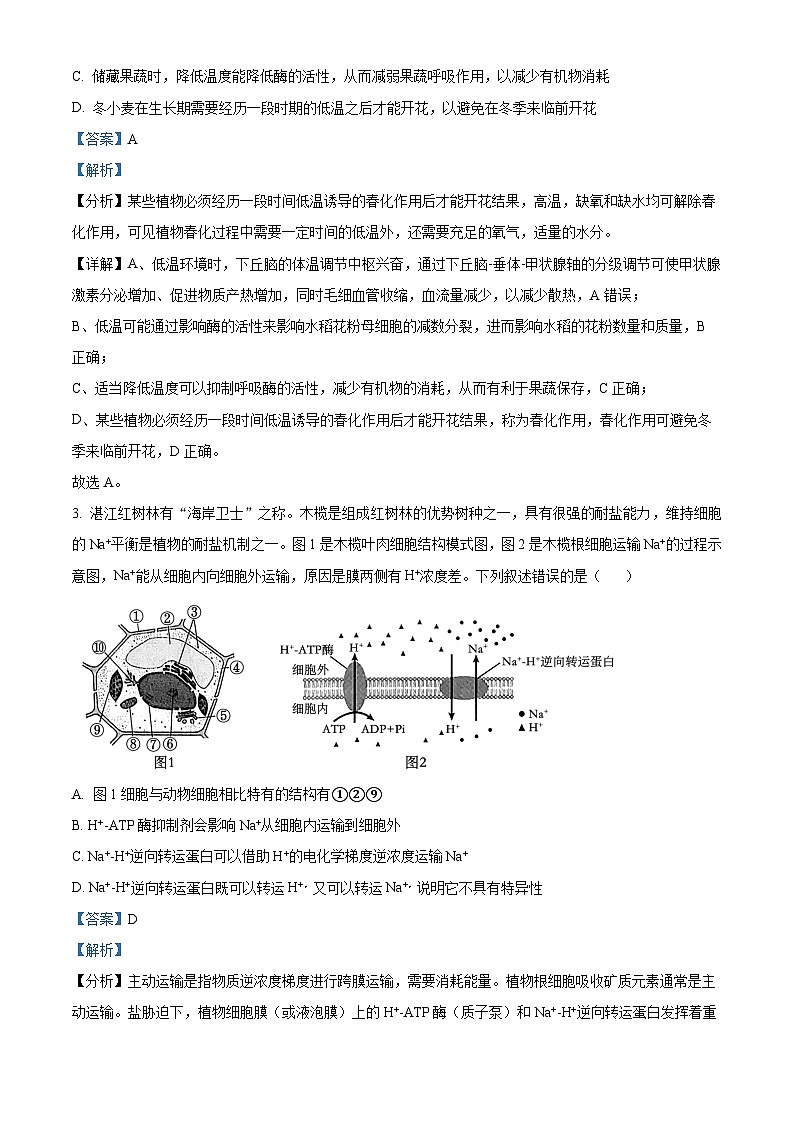 2025届陕西省咸阳市高三二模生物试题  Word版含解析第2页