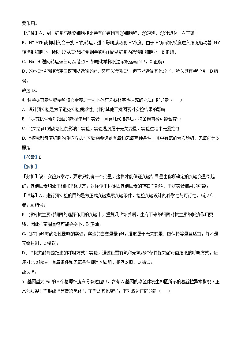 2025届陕西省咸阳市高三二模生物试题  Word版含解析第3页