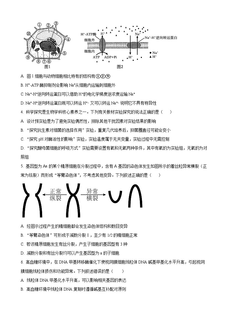 2025届陕西省咸阳市高三二模生物试题  Word版无答案第2页