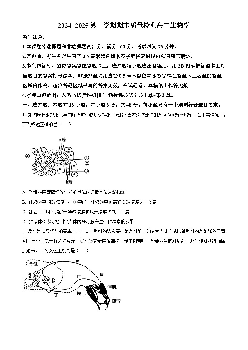陕西省榆林市八校联考2024-2025学年高二上学期1月期末生物试题  Word版无答案第1页