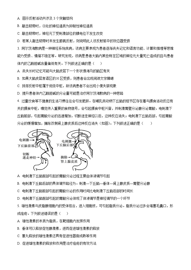 陕西省榆林市八校联考2024-2025学年高二上学期1月期末生物试题  Word版无答案第2页