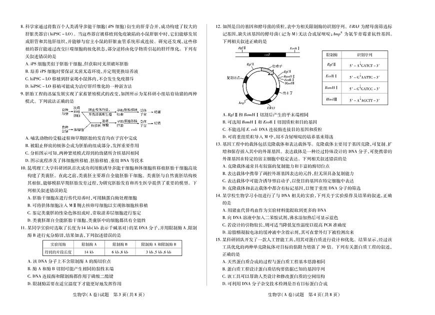 生物-天一大联考·2024-2025学年（下）高二年级下学期4月期中考试试题及答案第2页