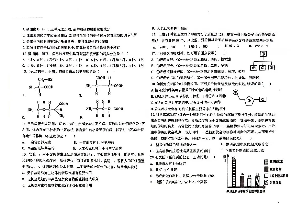 广东省揭阳市揭东区第三中学2024-2025学年高一上学期10月期中考试生物试题第2页
