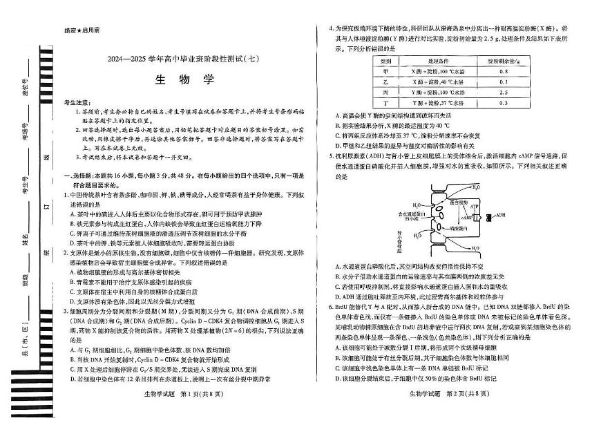 河南天一大联考2024-2025学年高三年下学期阶段性测试月考（七）生物试题（含答案）第1页