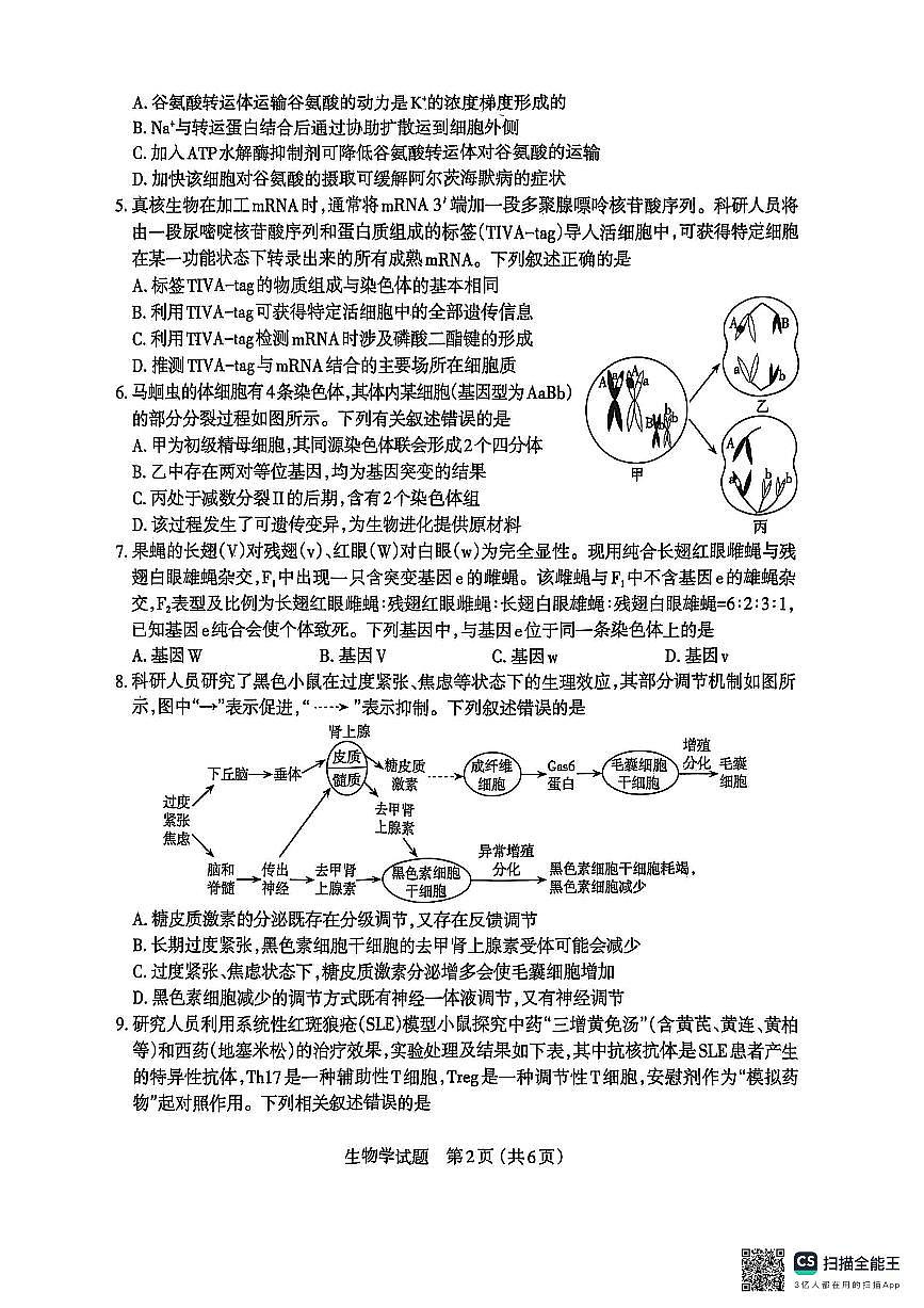 山西省太原市2025年高三年级模拟考试（二）生物第2页