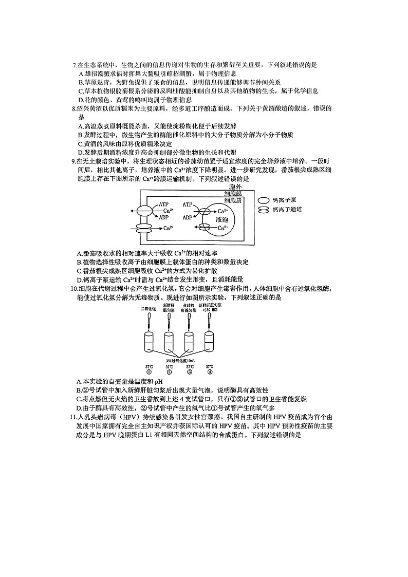 浙江省稽阳联谊学校2025年4月高三联考生物试卷（无答案）第2页