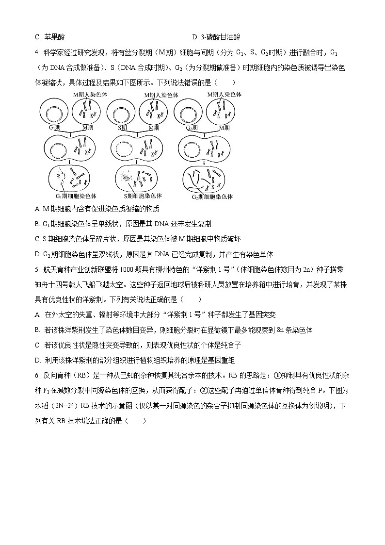 2025届广西壮族自治区来宾市高三下学期4月二模（高考模拟）生物试题（原卷版+解析版）第2页