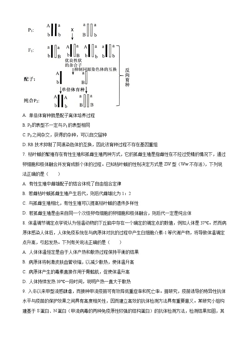 2025届广西壮族自治区来宾市高三下学期4月二模（高考模拟）生物试题（原卷版+解析版）第3页