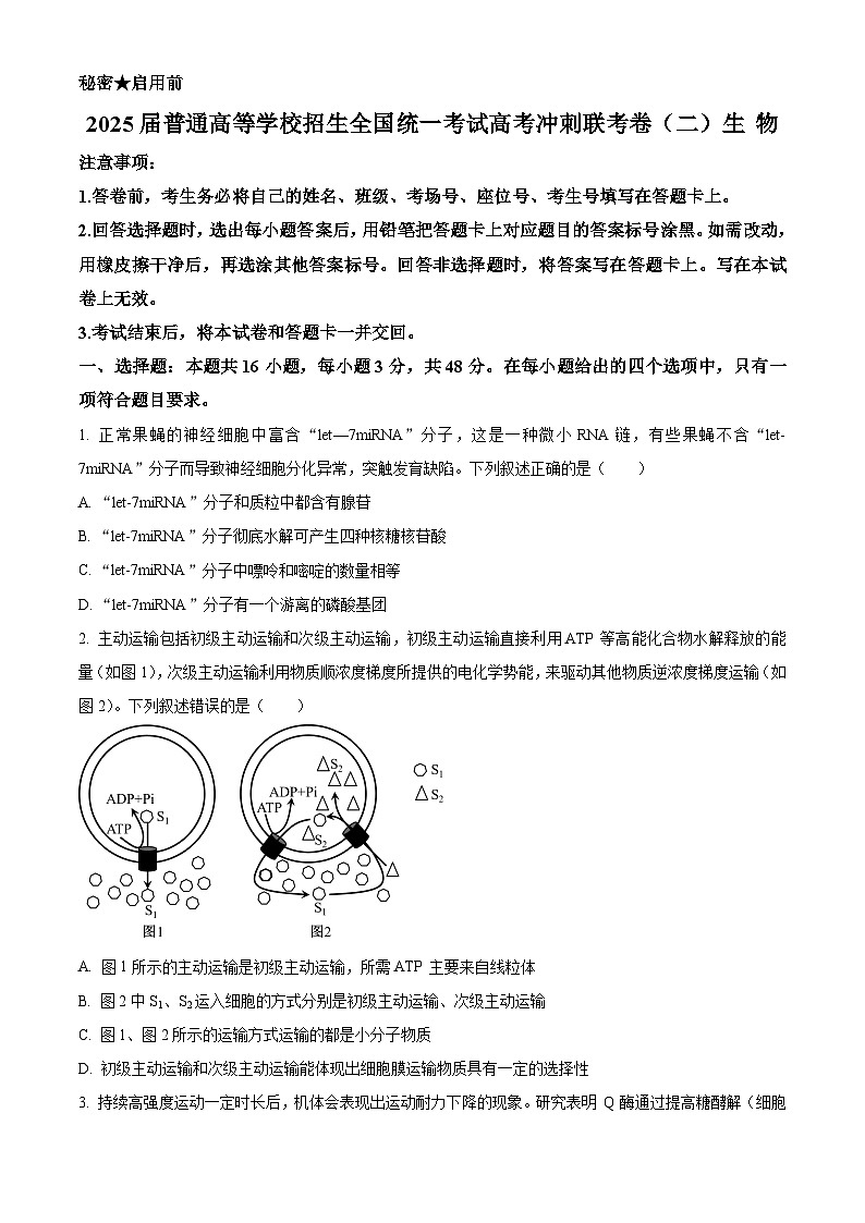2025届河南省青桐鸣高三下学期高考冲刺联考卷二生物试题（原卷版+解析版）第1页