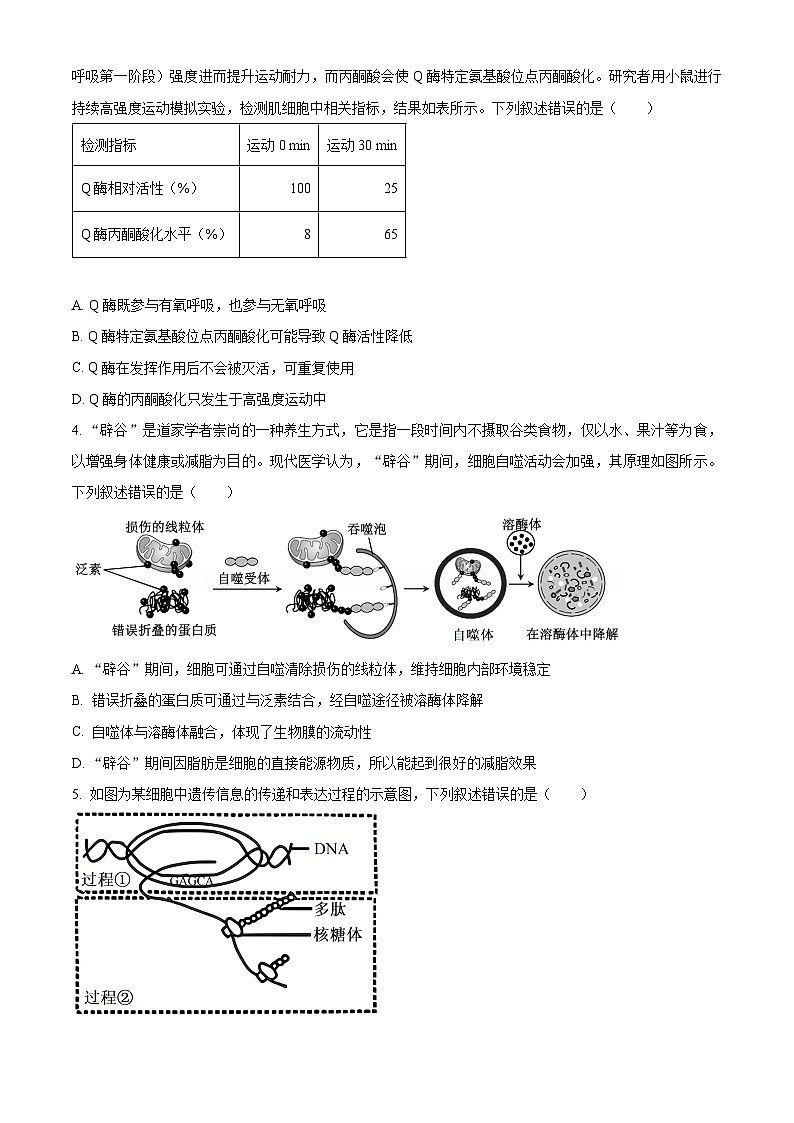 2025届河南省青桐鸣高三下学期高考冲刺联考卷二生物试题（原卷版+解析版）第2页