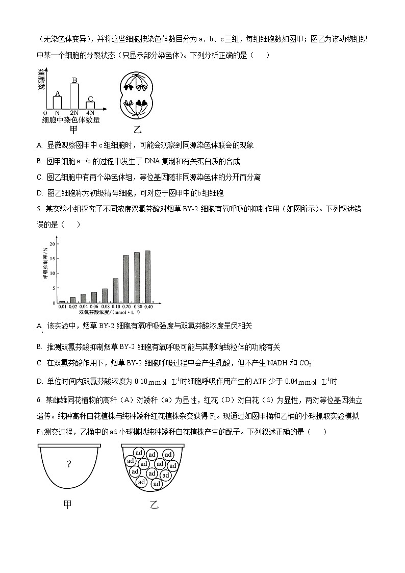 2025届河南省许平汝名校高三下学期二模（高考模拟）生物试题（原卷版+解析版）第2页